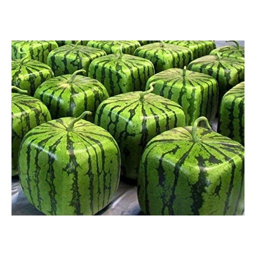 Kreatív görögdinnye-formázó