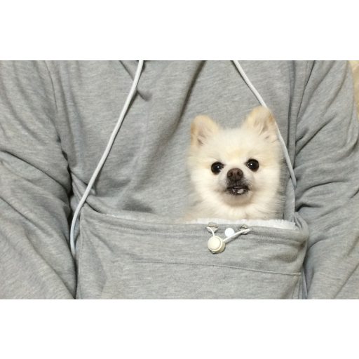 Macskahordozó, cicahordozó pulcsi, macskás pulóver, cicás pulcsi