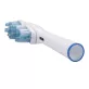 oral-B dual head