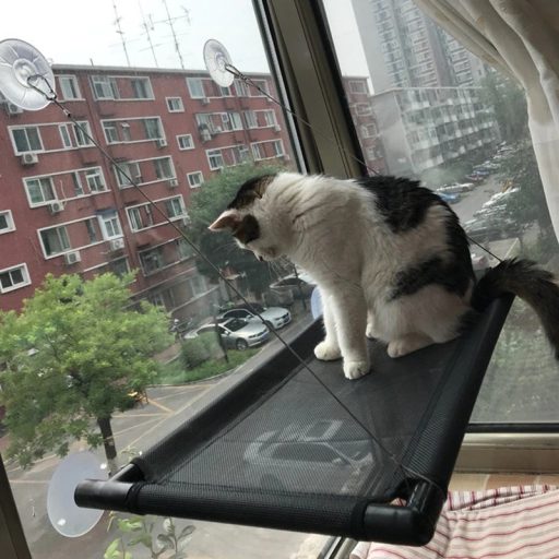 Ablakra Helyezhető Cicaágy