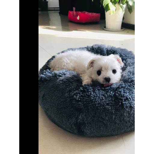 Szőrmés kisállat fekhely, Cica-kutyaágy