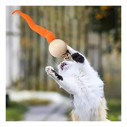 Kígyózó cicajáték