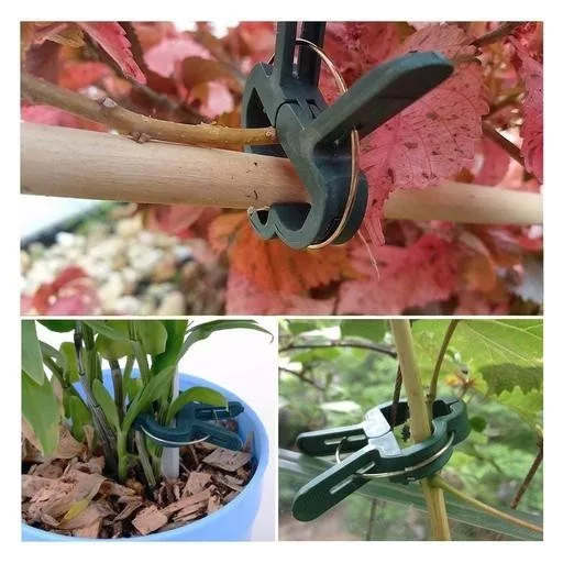Palánta rögzítő csipesz (20 db)