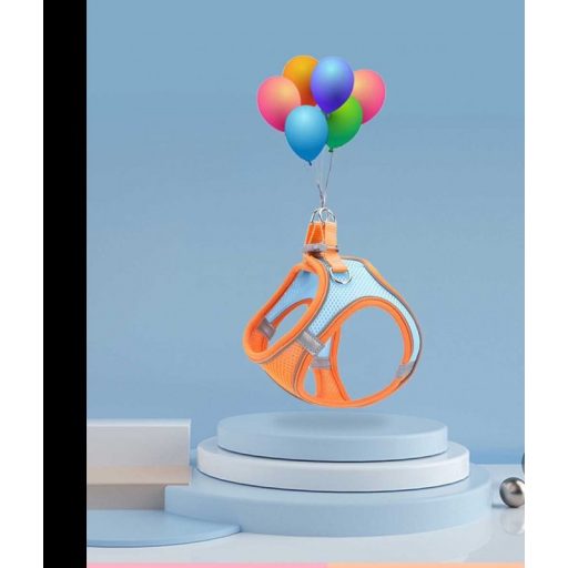 Macskahám pórázzal