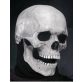 Koponya maszk mozgatható állkapoccsal