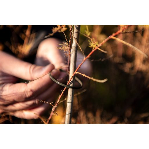 NEO TOOLS Kerti kötegelő, gyorskötöző 3,6x200mm, 50db, barna 15-974