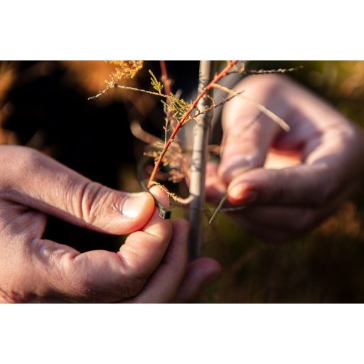 NEO TOOLS Kerti kötegelő, gyorskötöző 3,6x200mm, 50db, barna 15-974