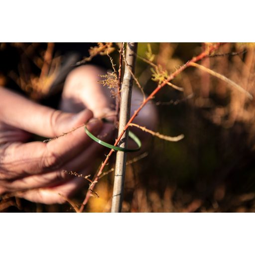 NEO TOOLS Kerti kötegelő, gyorskötöző 3,6x200mm, 50db, zöld 15-975