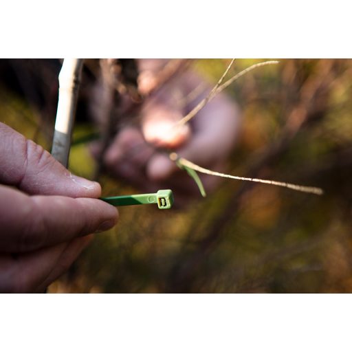 NEO TOOLS Kerti kötegelő, gyorskötöző 3,6x200mm, 50db, zöld 15-975