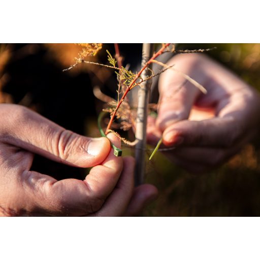 NEO TOOLS Kerti kötegelő, gyorskötöző 3,6x200mm, 50db, zöld 15-975