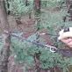 Kézi láncfűrész