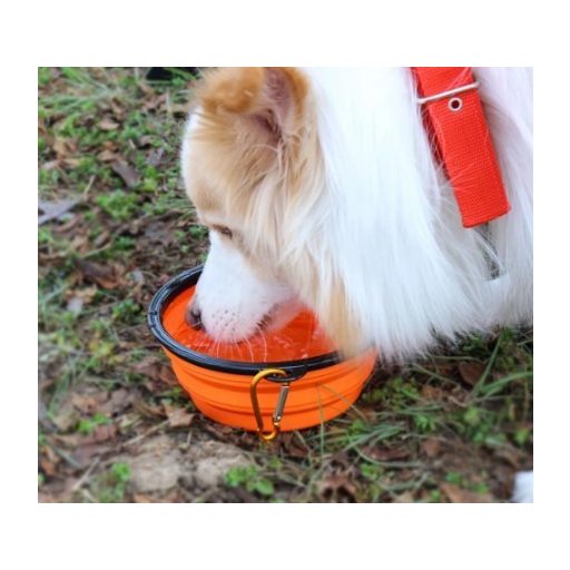 Latex hordozható etető és itató tál kutyáknak (350ML)