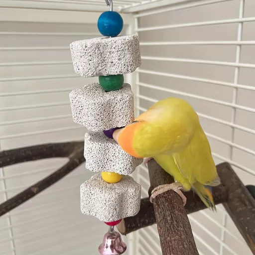 Csőr Csiszoló Kő Papagájoknak