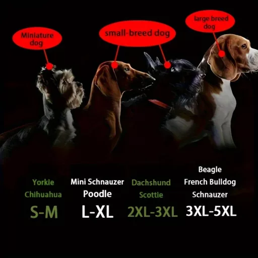 Kutyaruha, párnázott kisállat mellény