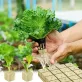   100 kiváló minőségű talaj nélküli termesztési szubsztrátum