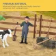 Zöld traktor és pótkocsi játékkészlet farmer kocsival