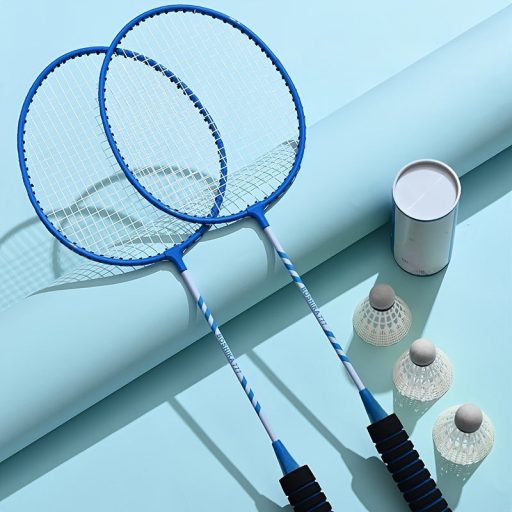 2db Tollaslabda Ütő Hordozó táskával