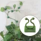 10db Kúszónövény Rögzítő Öntapadós Fali Kapocs