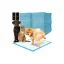 Higiéniai betét 60x40cm 100 db Purlov 21599