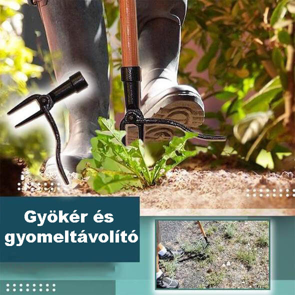 Kép címe
