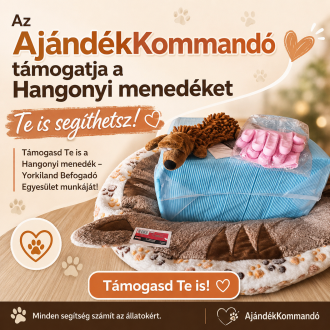 Az AjándékKommandó támogatja a Hangonyi menedéket – Te is segíthetsz!